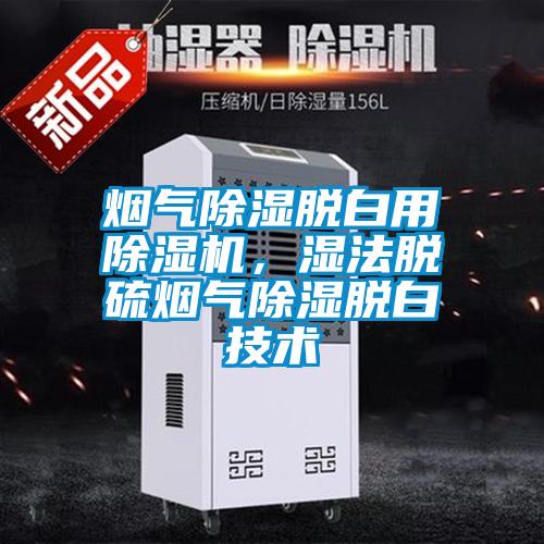 煙氣除濕脫白用除濕機,濕法脫硫煙氣除濕脫白技術