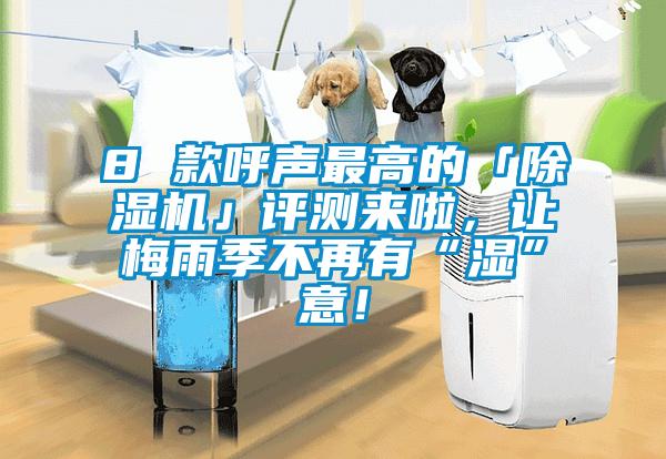 8 款呼聲最高的「除濕機(jī)」評(píng)測(cè)來啦，讓梅雨季不再有“濕”意！