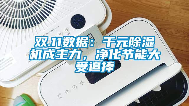 雙.11數據:千元除濕機成主力,凈化節能大受追捧